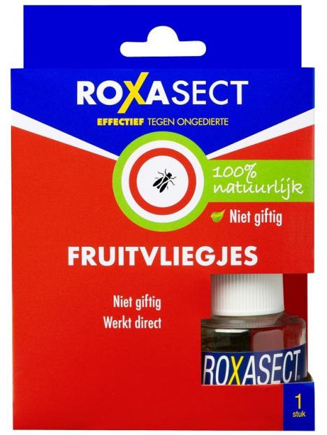 Fruitvliegjes