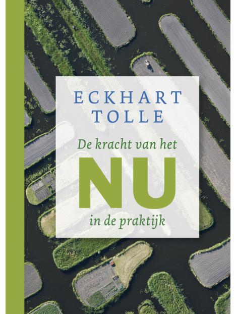 De kracht van het nu in de praktijk