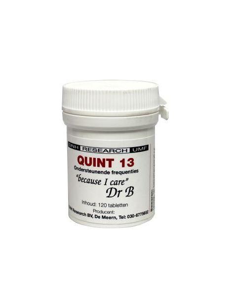 Quint 13