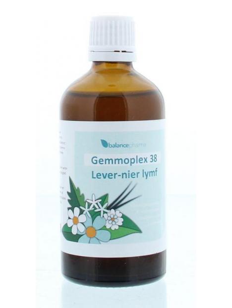 HGP038 Gemmoplex lever-nier lymf