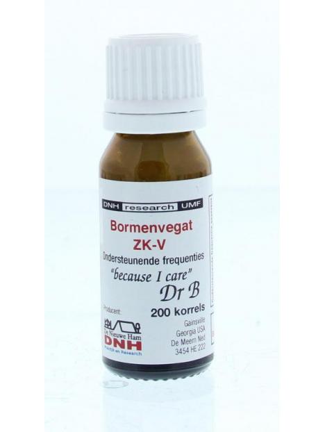 Bormenvegat ZK-V