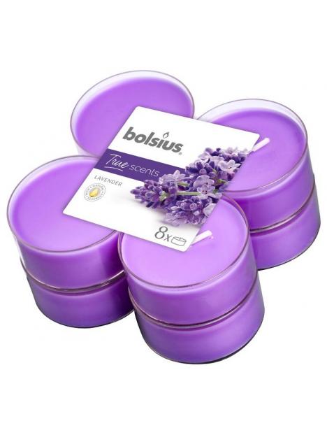 Maxilicht geur true scents lavender