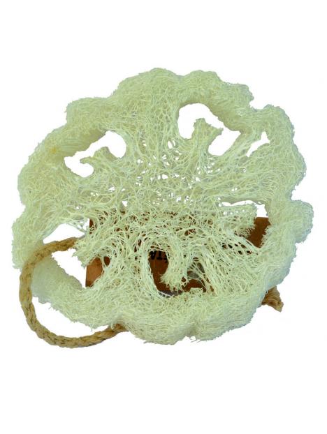 Loofah natuurspons plak