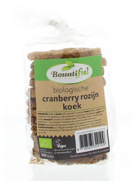 Cranberry rozijnkoek bio