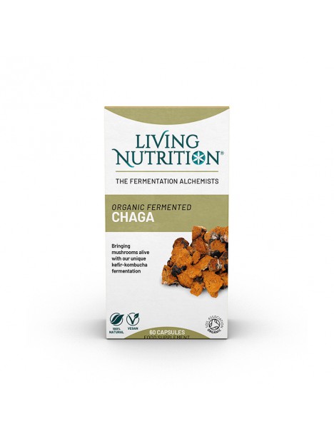 Fermentierter Chaga Bio