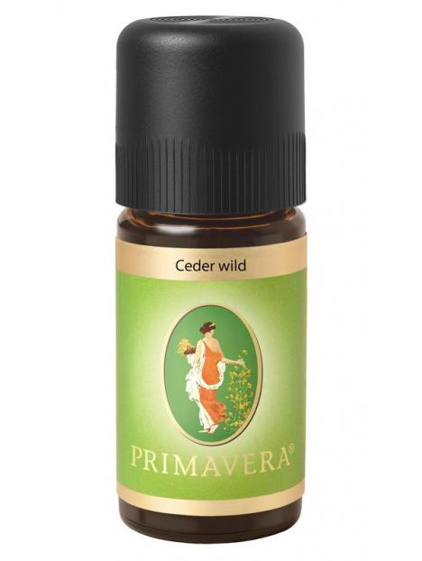 Primavera cedar wild