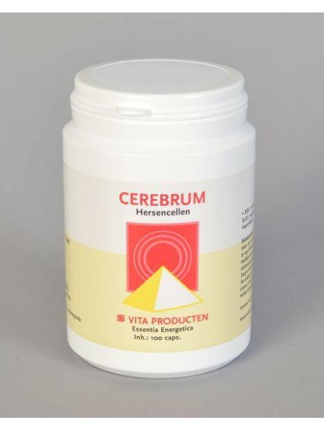 Cerebrum