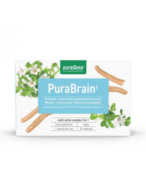 Purasana purabrain Purasana