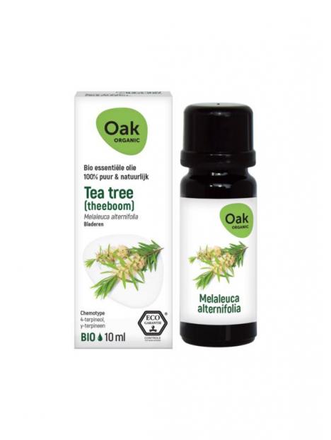 OAK Tea tree (theeboom)