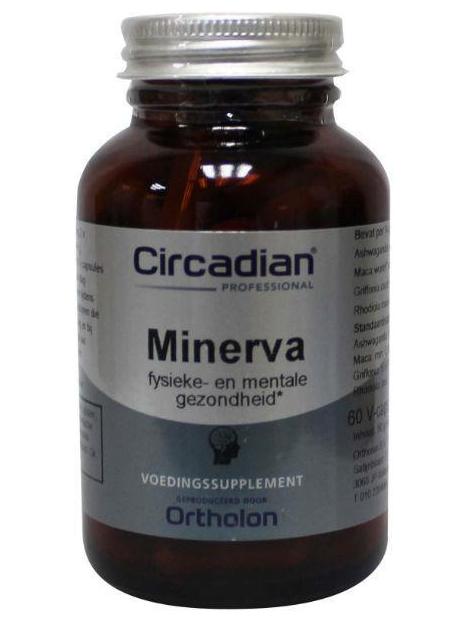 Minerva