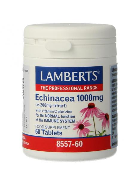 Echinacea 1000 mg met zink en vitamine C