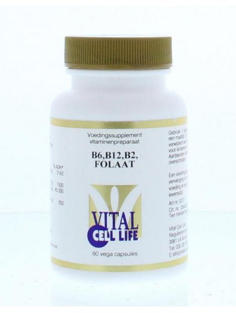 Vitamine B6/B12/B2 folaat